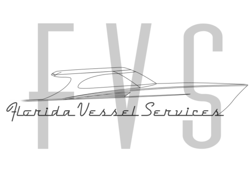 FVS Logo